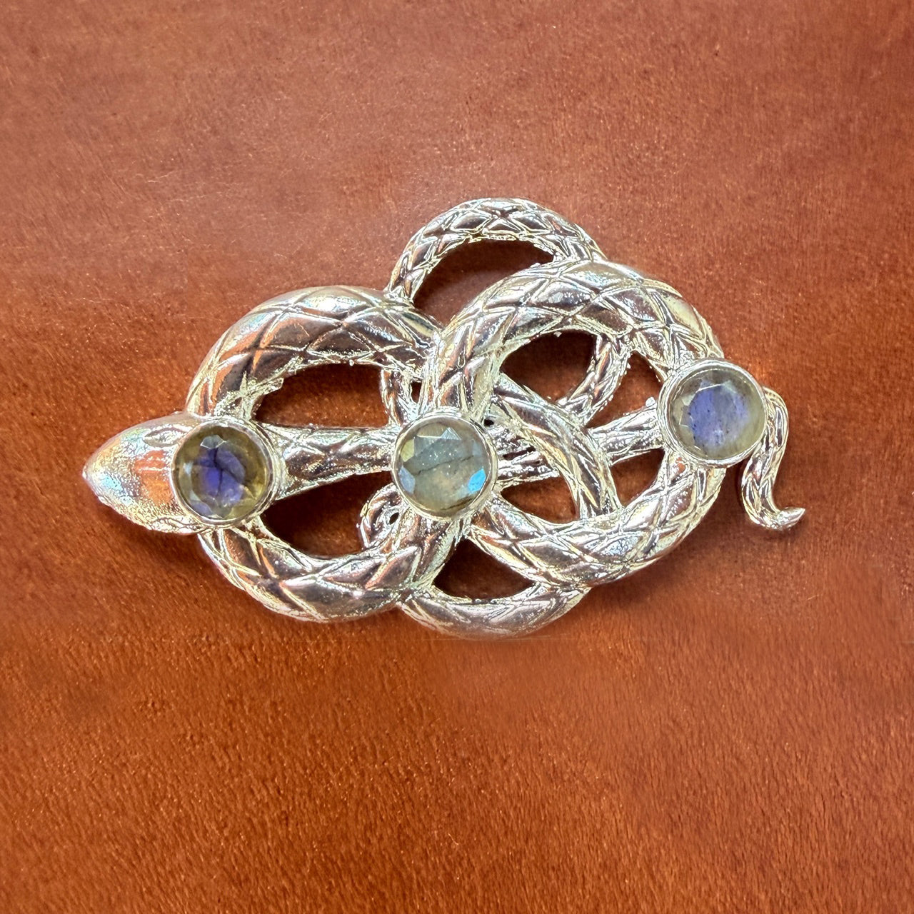 Silver Snake buckle with gemstones on a brown leather journal background